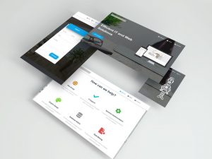 Web Design Project 3